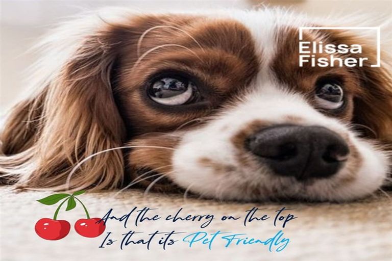 Photo of property in 87a Beach Road, Te Atatu Peninsula, 0610