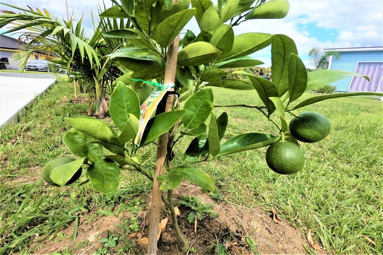 Photo of property in 9 Meenas Place, Cable Bay, 0420