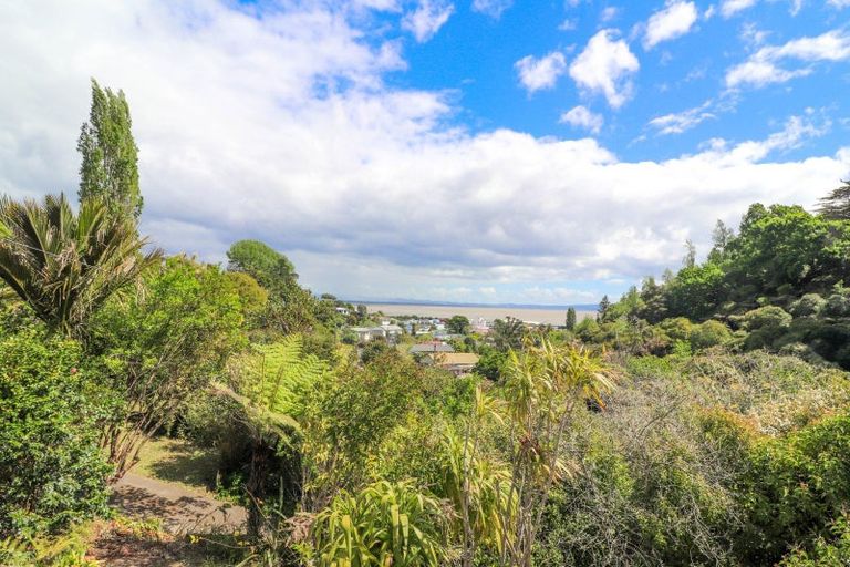 Photo of property in 400 Karaka Road, Thames, 3500