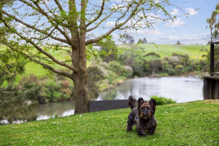 Photo of property in 1 Newton Road, Riverhead, 0820