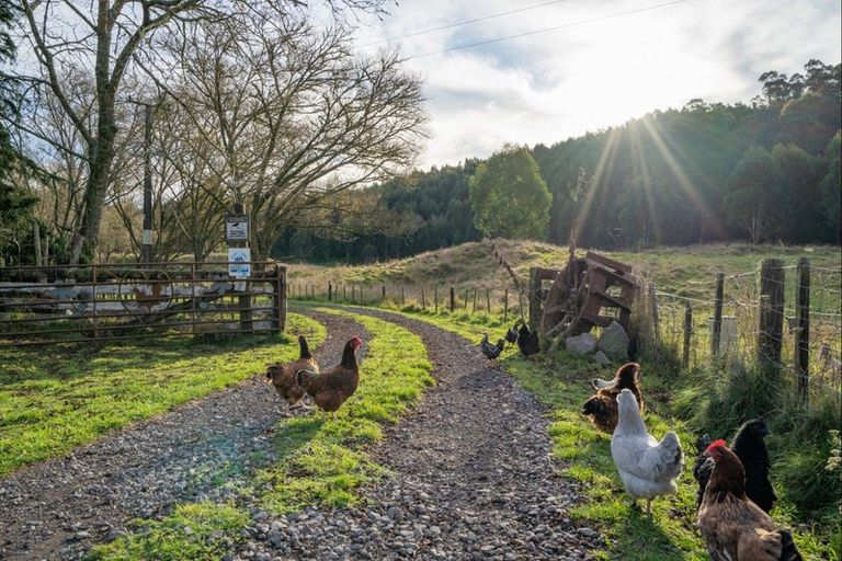 Photo of property in 324 Puketapu Road, Marotiri, Taupo, 3492