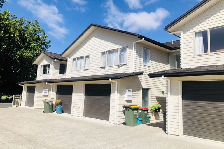 Photo of property in 50a Willoughby Street, Whitiora, Hamilton, 3200