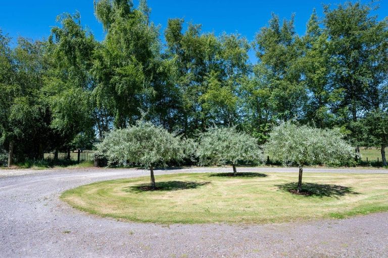 Photo of property in 254 Oruanui Road, Wairakei, Taupo, 3384