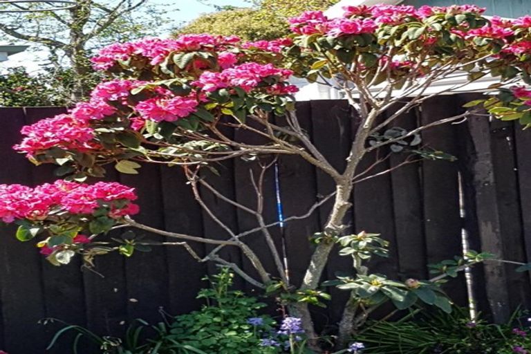 Photo of property in 2/444 Harewood Road, Harewood, Christchurch, 8051