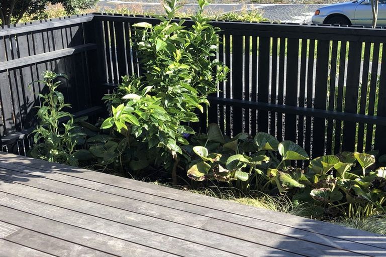 Photo of property in 17 Waka Moana Drive, Hobsonville, Auckland, 0616