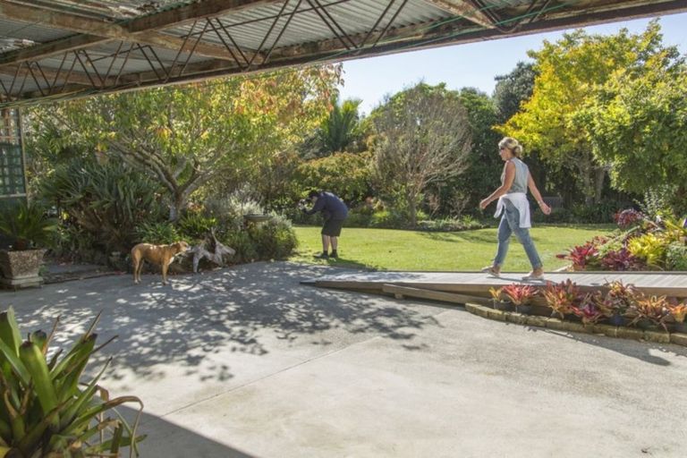 Photo of property in 16 Islington Street, Dargaville, 0310