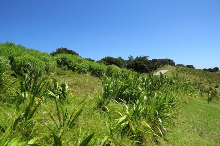 Photo of property in 1594 Colville Road, Amodeo Bay, Coromandel, 3584
