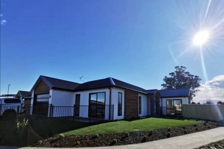 Photo of property in 12 Manakura Street, Avonhead, Christchurch, 8042