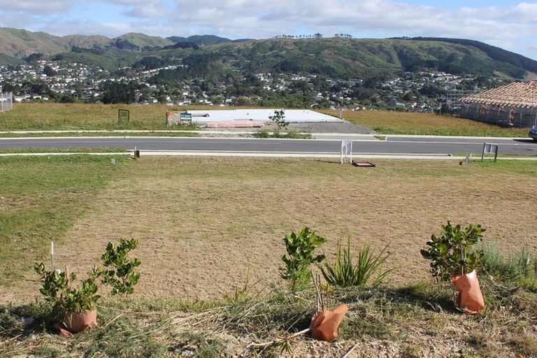 Photo of property in 207 John Burke Drive, Aotea, Porirua, 5024
