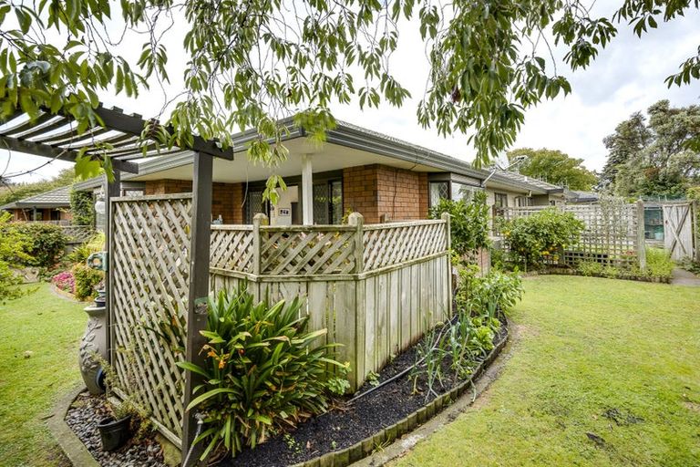 Photo of property in 706a York Street, Mahora, Hastings, 4120