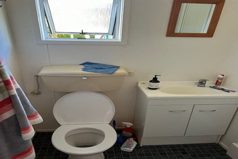Photo of property in 28 Nisbet Terrace, Kinloch, Taupo, 3377