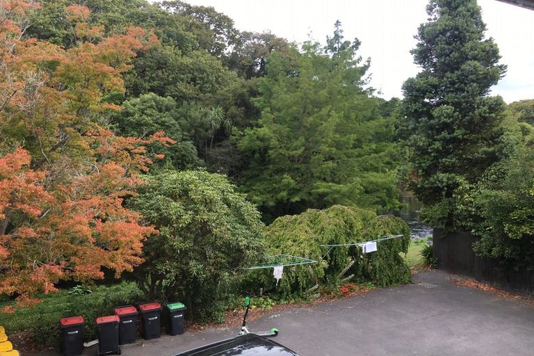 Photo of property in 60 Carlton Mill Road, Merivale, Christchurch, 8014