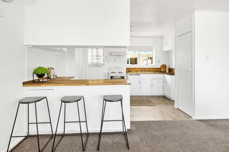 Photo of property in 133 Malfroy Road, Victoria, Rotorua, 3010