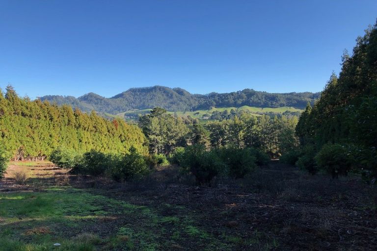 Photo of property in 113 Tanners Point Road, Tanners Point, Katikati, 3177