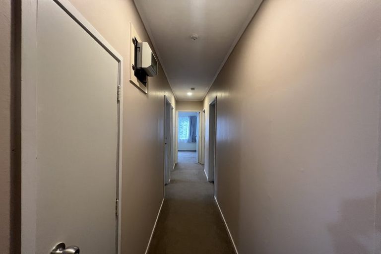 Photo of property in 56 Universal Drive, Henderson, Auckland, 0610