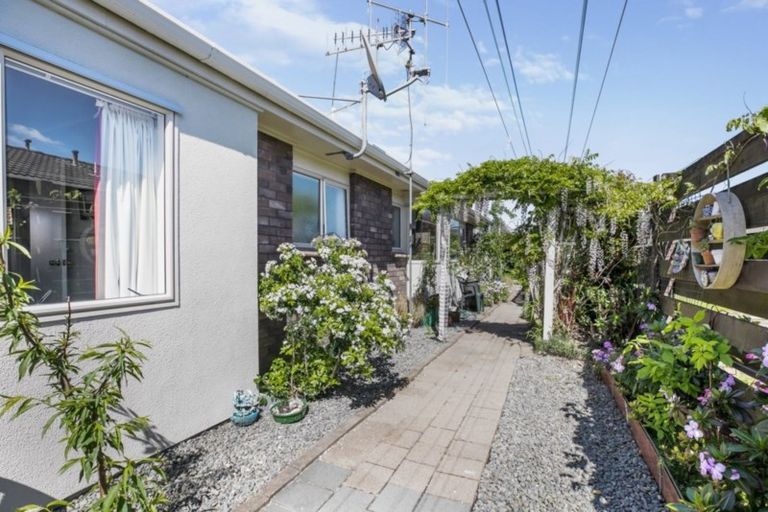 Photo of property in 13b Balmacewen Place, Mount Maunganui, 3116