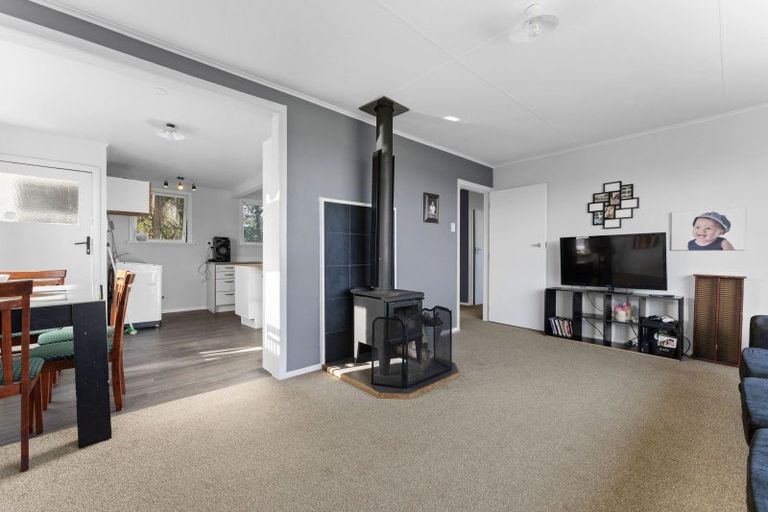 Photo of property in 24 Mahoe Street, Levin, 5510