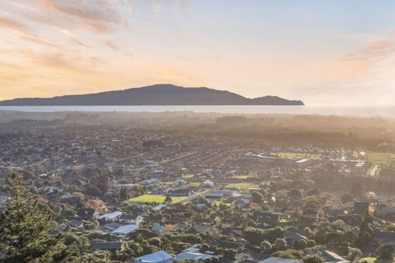 Photo of property in 83 Kotare Street, Waikanae, 5036