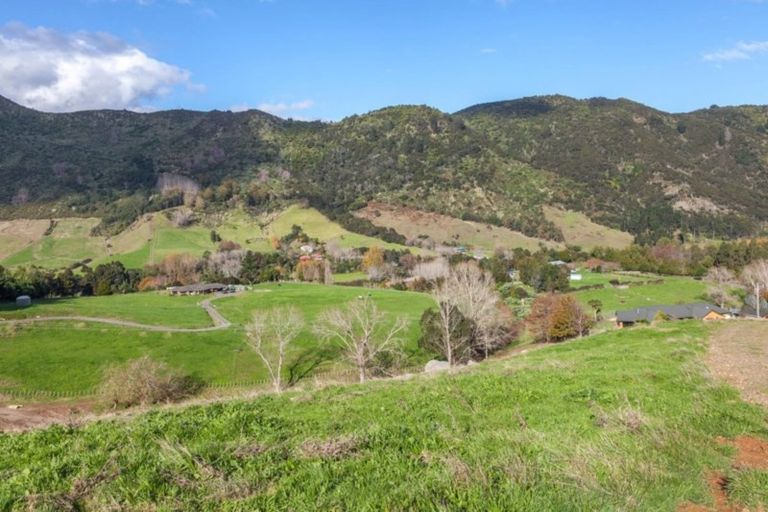 Photo of property in 78 Packtrack Road, Thames, 3577