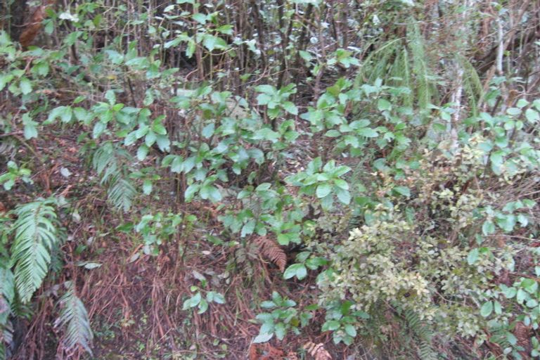 Photo of property in 54 Pitt Street, Runanga, 7803