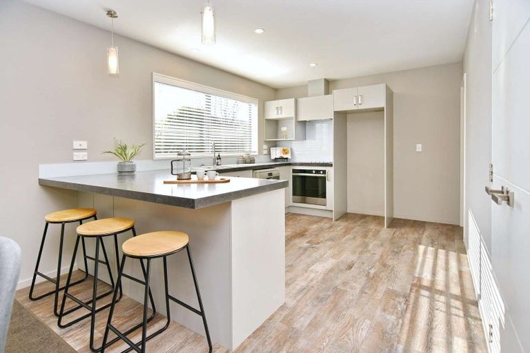 Photo of property in 9b Amstel Lane, Richmond, Christchurch, 8013