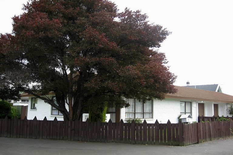 Photo of property in 1/44 Maxwell Road, Blenheim, 7201