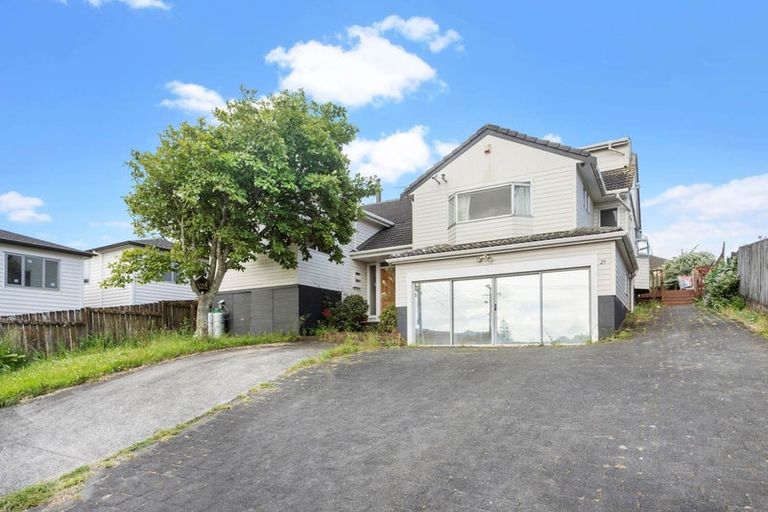 Photo of property in 25 Bremner Avenue, Mount Roskill, Auckland, 1041