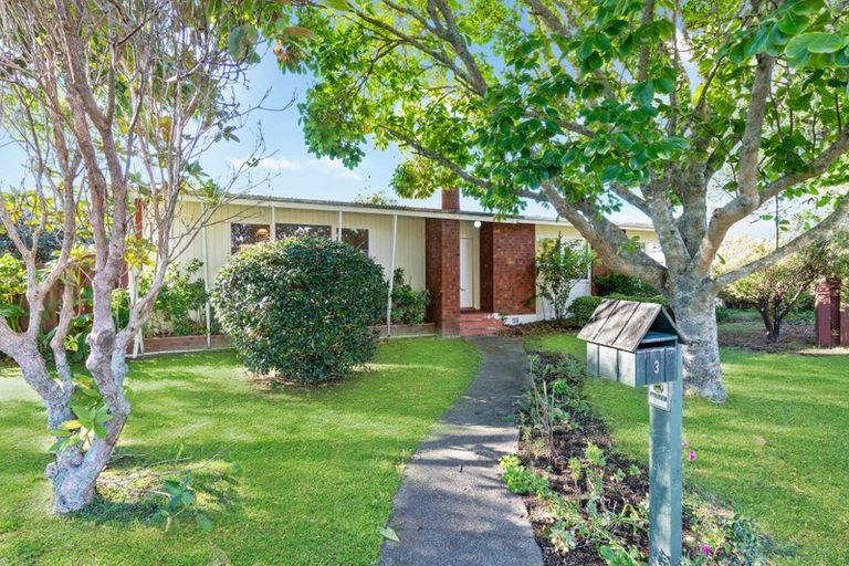 Photo of property in 3 Byrd Street, Levin, 5510