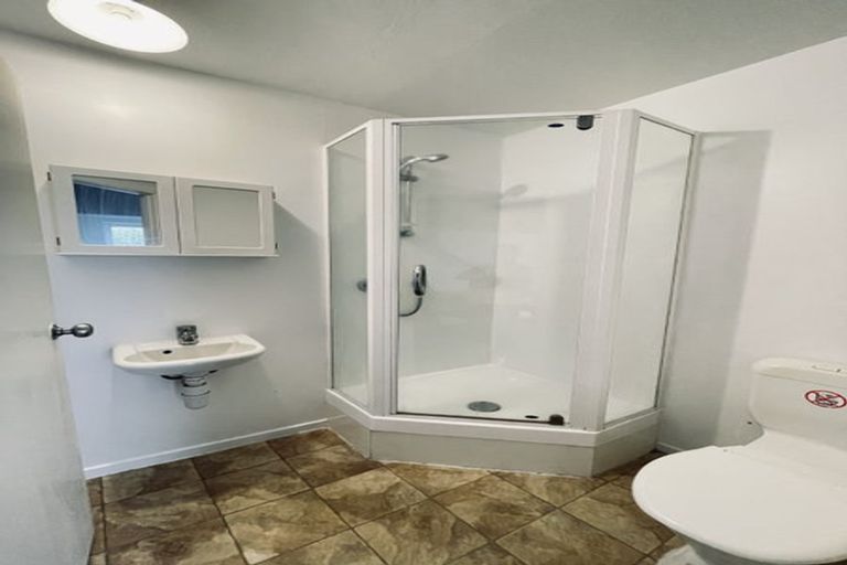 Photo of property in 12 Wellington Street, Hamilton East, Hamilton, 3216