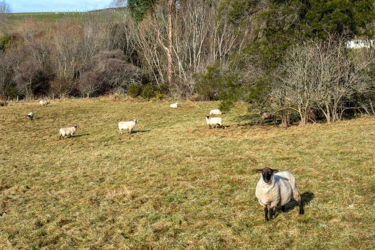 Photo of property in 20 Gualter Road, Kakahu, Geraldine, 7991