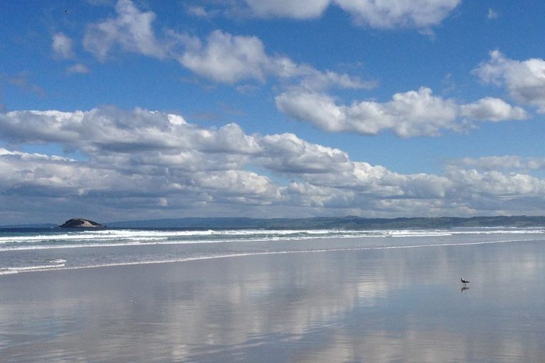 Photo of property in 451 Blackhead Road, Waldronville, Dunedin, 9076