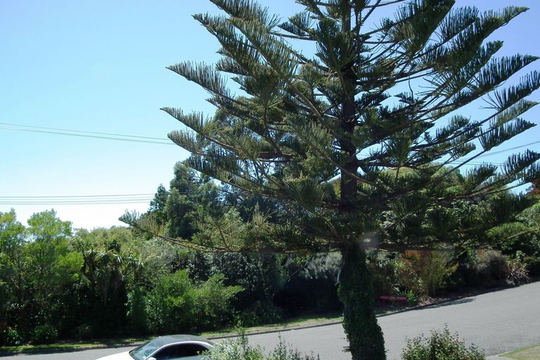 Photo of property in 7 Tamar Street, South Hill, Oamaru, 9400