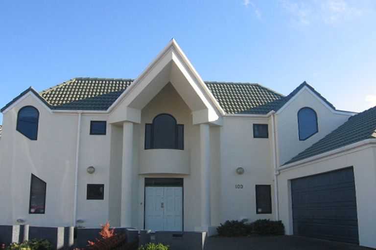 Photo of property in 103 Kings Crescent, Hutt Central, Lower Hutt, 5010