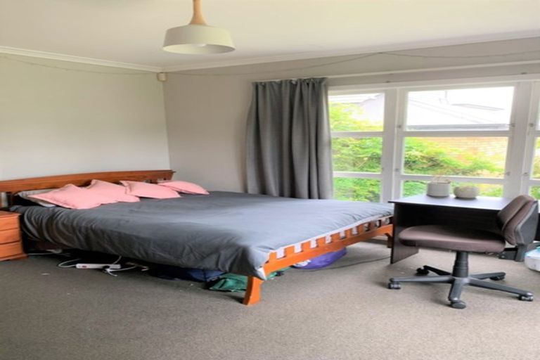 Photo of property in 215 Fox Street, Hamilton East, Hamilton, 3216