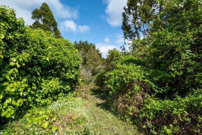 Photo of property in 93 Tanekaha Road, Titirangi, Auckland, 0604
