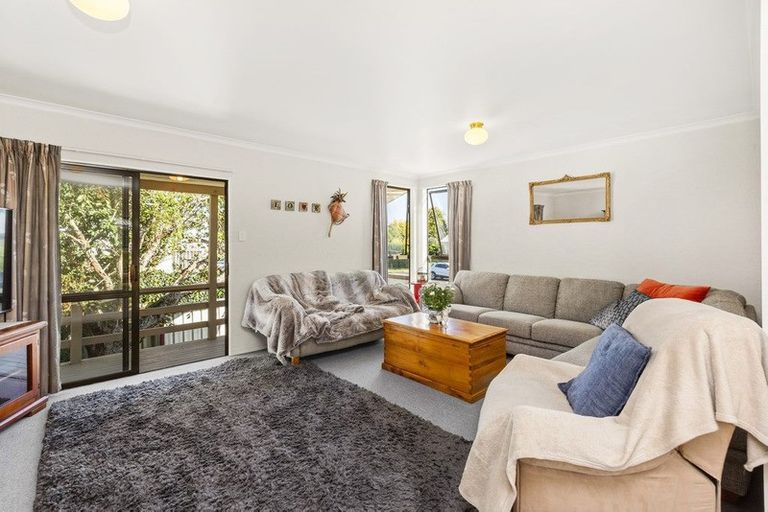 Photo of property in 41 Hibiscus Avenue, Hamilton Lake, Hamilton, 3204