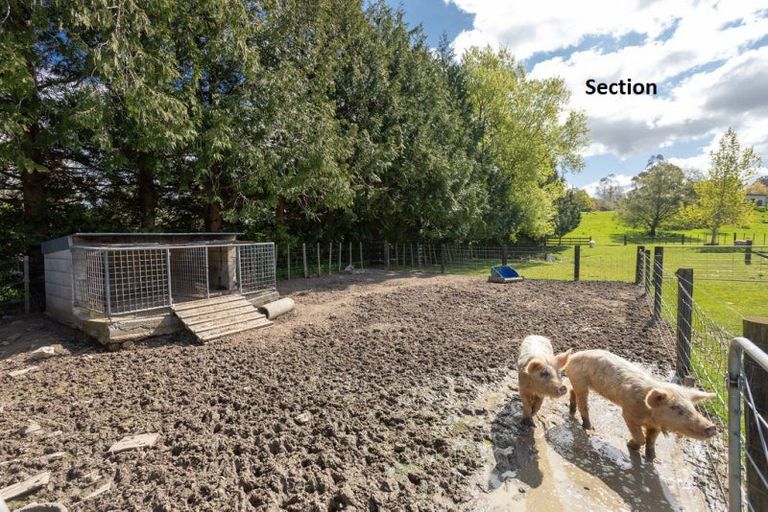 Photo of property in 60 Princess Street, Dannevirke, 4930