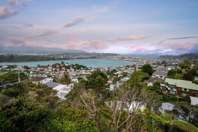 Photo of property in 53 Marewa Road, Hataitai, Wellington, 6021