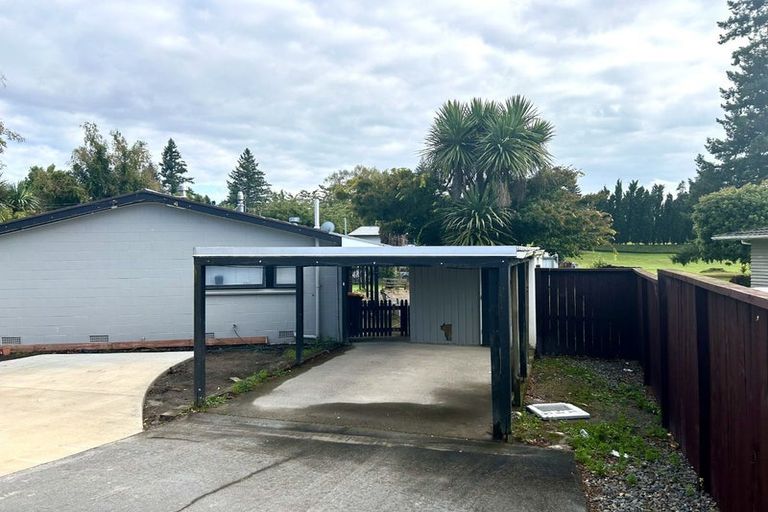 Photo of property in 99 Springfield Road, Springfield, Rotorua, 3015