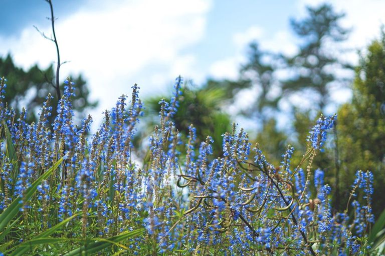 Photo of property in 309 Monowai Road, Wainui, Silverdale, 0994