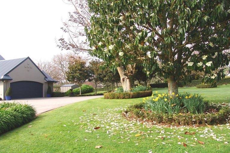 Photo of property in 121 Leger Grove, Te Awamutu, 3875