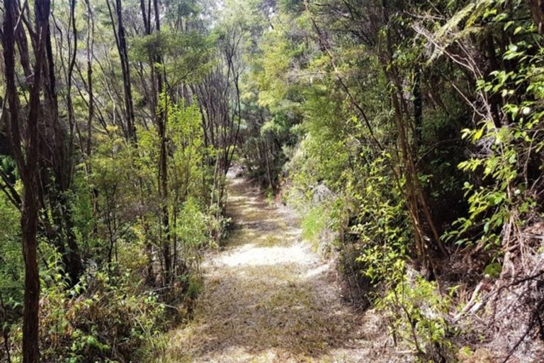 Photo of property in 243 Wright Road, Dairy Flat, Albany, 0794