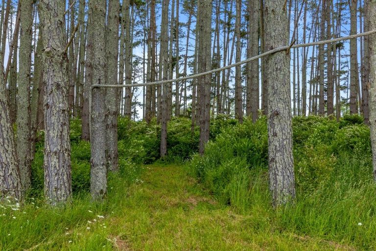 Photo of property in 74 Brookvale Lane, Taupaki, 0782