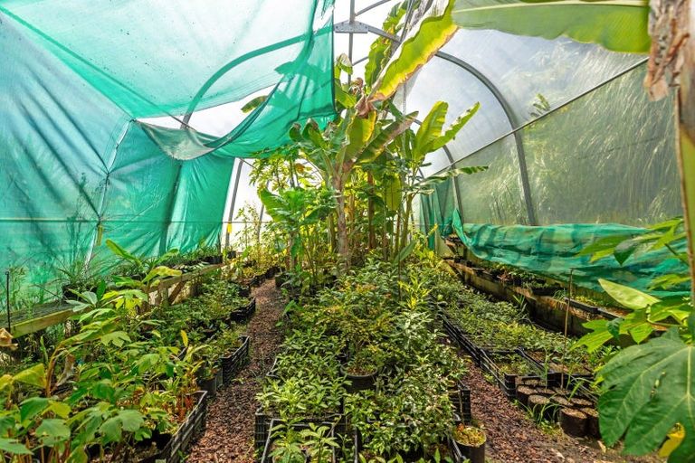 Photo of property in 210 Darwin Road, Outer Kaiti, Gisborne, 4010