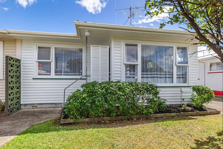 Photo of property in 53 Queenwood Road, Levin, 5510