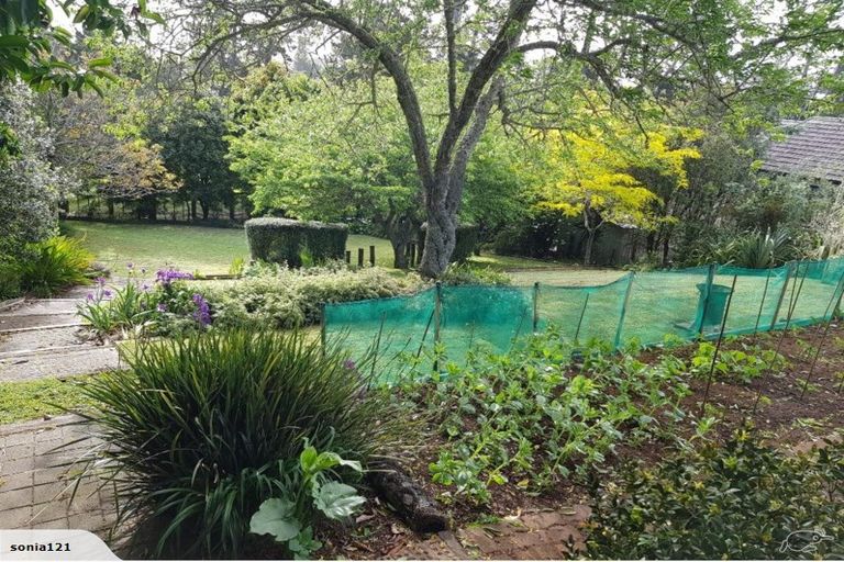 Photo of property in 66 Prospect Terrace, Pukekohe, 2120