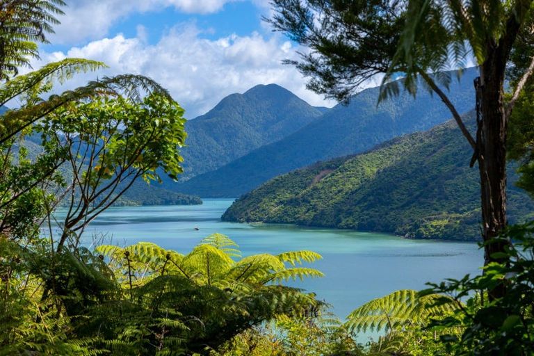 Photo of property in 47 Korimako Rise, Havelock, Picton, 7281