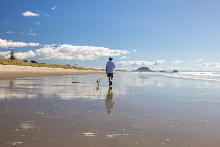 Photo of property in 226b Range Road, Papamoa Beach, Papamoa, 3118