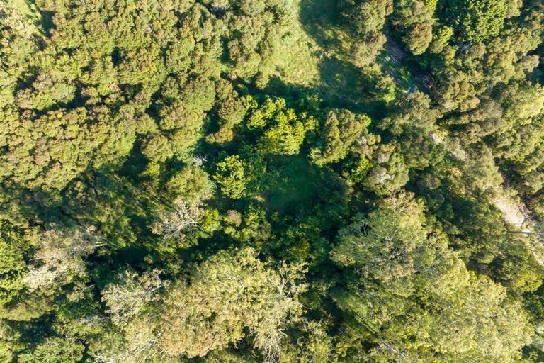 Photo of property in 21 Doel Road, Awanui, 0486