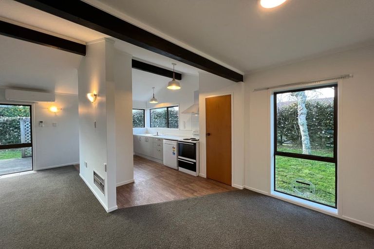 Photo of property in 8g Hardley Street, Whitiora, Hamilton, 3200